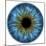 Eye, Iris-PASIEKA-Mounted Premium Photographic Print