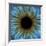 Eye, Iris-PASIEKA-Framed Photographic Print