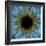 Eye, Iris-PASIEKA-Framed Photographic Print