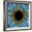 Eye, Iris-PASIEKA-Framed Photographic Print