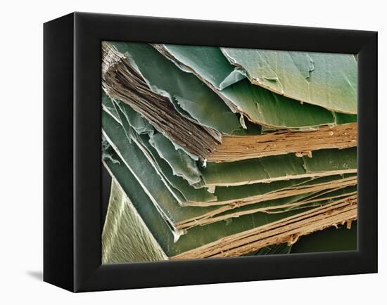 Eye Lens Cells, SEM-Steve Gschmeissner-Framed Premier Image Canvas