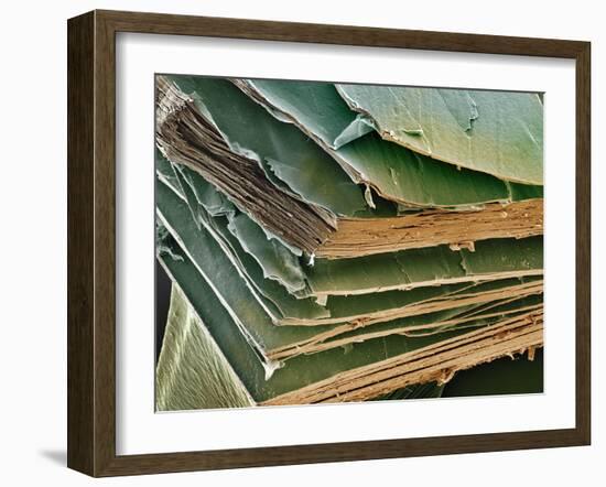 Eye Lens Cells, SEM-Steve Gschmeissner-Framed Photographic Print