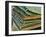 Eye Lens Cells, SEM-Steve Gschmeissner-Framed Photographic Print