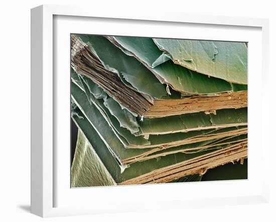 Eye Lens Cells, SEM-Steve Gschmeissner-Framed Photographic Print