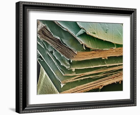 Eye Lens Cells, SEM-Steve Gschmeissner-Framed Photographic Print