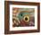Eye of a Corkwing Wrasse-null-Framed Photographic Print