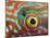 Eye of a Corkwing Wrasse-null-Mounted Photographic Print