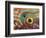 Eye of a Corkwing Wrasse-null-Framed Photographic Print