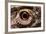 Eye of an Inland Bearded Dragon-Paul Souders-Framed Photographic Print