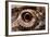 Eye of an Inland Bearded Dragon-Paul Souders-Framed Photographic Print