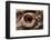 Eye of an Inland Bearded Dragon-Paul Souders-Framed Photographic Print