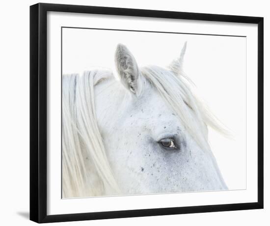 Eye of Camargue-Wink Gaines-Framed Giclee Print