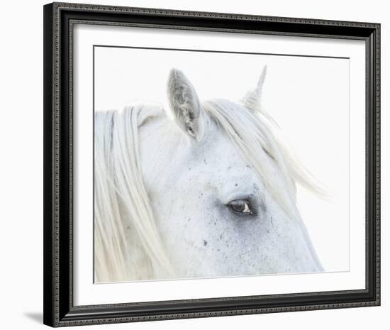 Eye of Camargue-Wink Gaines-Framed Giclee Print