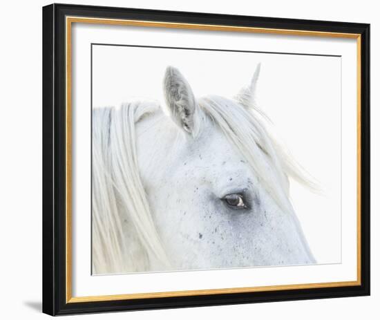 Eye of Camargue-Wink Gaines-Framed Giclee Print