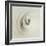 Eye of Hurricane Emilia-Science Source-Framed Giclee Print