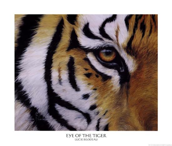 Eye Of The Tiger Art Print Lucie Bilodeau Art Com Eye Of The Tiger Art Print Lucie Bilodeau Art Com