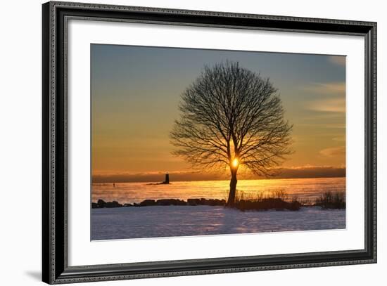 Eye of the Tree-Michael Blanchette Photography-Framed Photographic Print