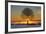 Eye of the Tree-Michael Blanchette Photography-Framed Photographic Print
