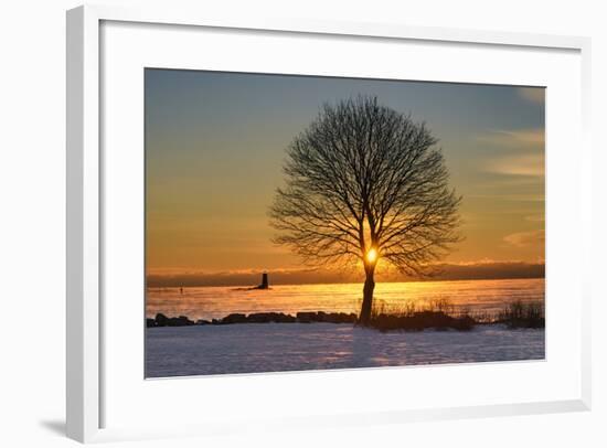 Eye of the Tree-Michael Blanchette Photography-Framed Photographic Print