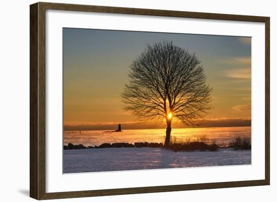Eye of the Tree-Michael Blanchette Photography-Framed Photographic Print