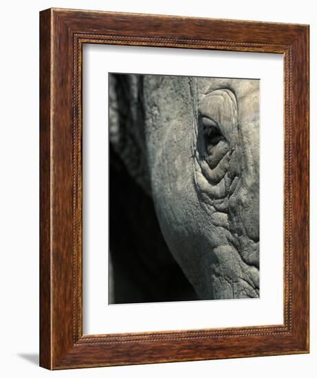 Eye of White Rhinoceros, Lake Nakuru National Park, Kenya-Paul Souders-Framed Photographic Print