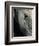 Eye of White Rhinoceros, Lake Nakuru National Park, Kenya-Paul Souders-Framed Photographic Print