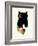 Eye on Owl-Andy Westface-Framed Giclee Print