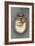 Eye Portrait, C.1810-English School-Framed Giclee Print