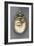 Eye Portrait, C.1810-English School-Framed Giclee Print