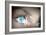 Eye Viewing Digital Information Represented By Circles And Signs-Sergey Nivens-Framed Art Print