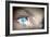 Eye Viewing Digital Information Represented By Circles And Signs-Sergey Nivens-Framed Art Print