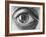 Eye-M^ C^ Escher-Framed Art Print