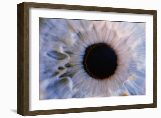 Eye-Martin Dohrn-Framed Photographic Print