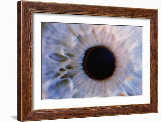 Eye-Martin Dohrn-Framed Photographic Print