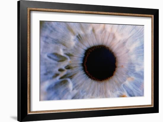 Eye-Martin Dohrn-Framed Photographic Print