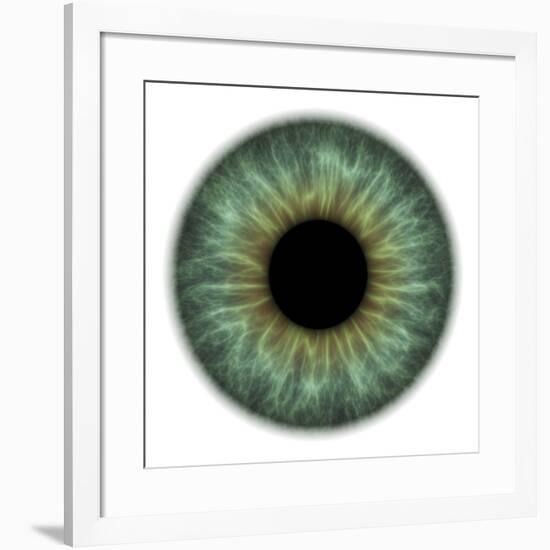 Eye-PASIEKA-Framed Photographic Print