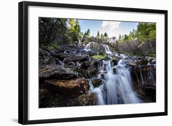 Photographic Print, , large