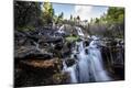 Photographic Print