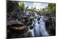 Premium Photographic Print
