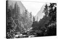 Stretched Canvas Print