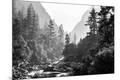 Photographic Print