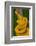 Eyelash Palm-pitviper coiled in strike pose with tongue out-John Cancalosi-Framed Photographic Print