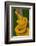 Eyelash Palm-pitviper coiled in strike pose with tongue out-John Cancalosi-Framed Photographic Print