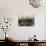 Eyes of a Black Widow-Jim Zuckerman-Photographic Print displayed on a wall