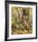 Eyes of Autumn-Kalon Baughan-Framed Giclee Print