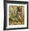 Eyes of Autumn-Kalon Baughan-Framed Giclee Print