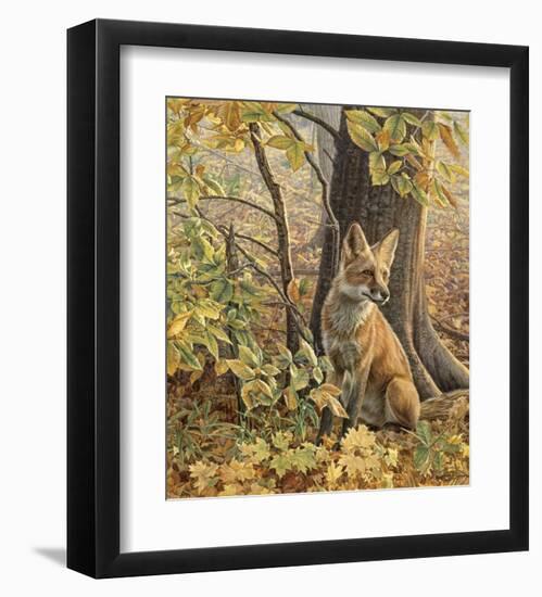 Eyes of Autumn-Kalon Baughan-Framed Art Print