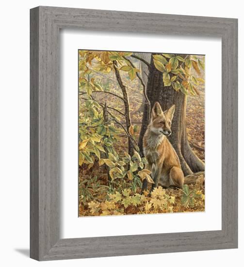 Eyes of Autumn-Kalon Baughan-Framed Art Print