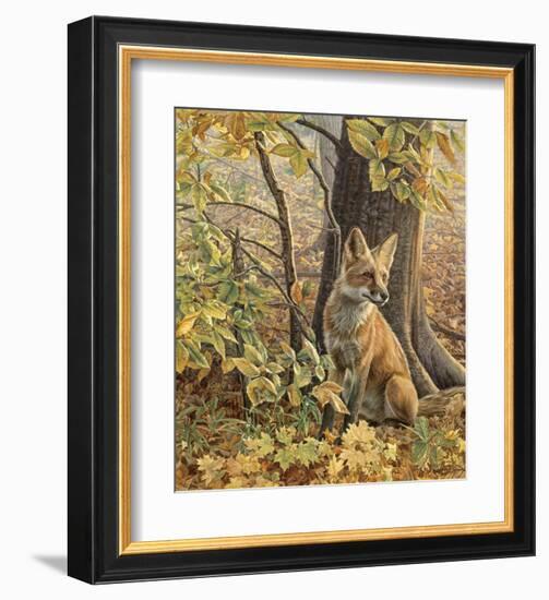 Eyes of Autumn-Kalon Baughan-Framed Art Print