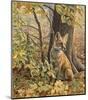 Eyes of Autumn-Kalon Baughan-Mounted Art Print